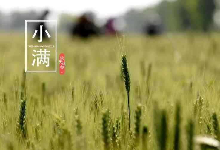 【濟南鑫浩焊接】二十四節氣之“小滿”